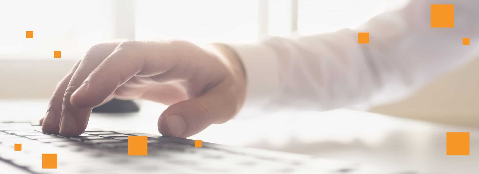 Team arbeitet gemeinsam